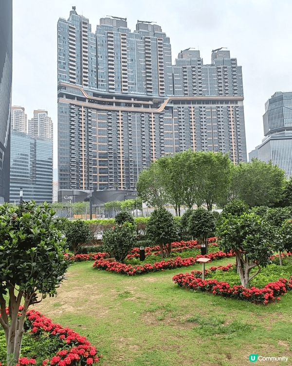 宜家好多有型嘅活動都係啟德體育園到舉行，有免費的，也有收費的...