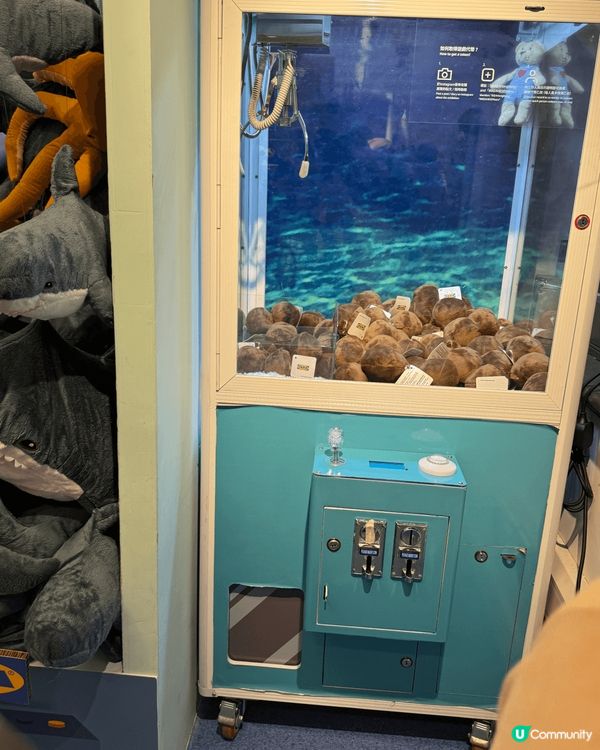 IKEA 50週年展覽！在中環大館六號館，展廳細細，幾有特色...