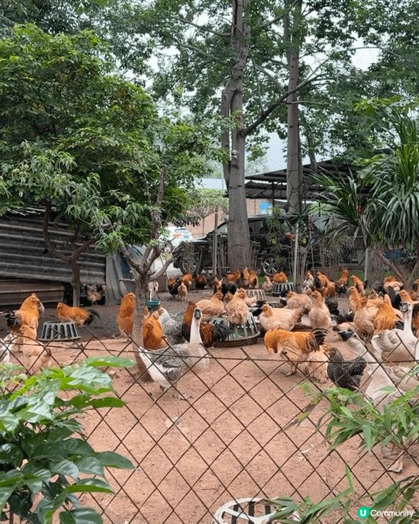 趁星期六日去郊遊