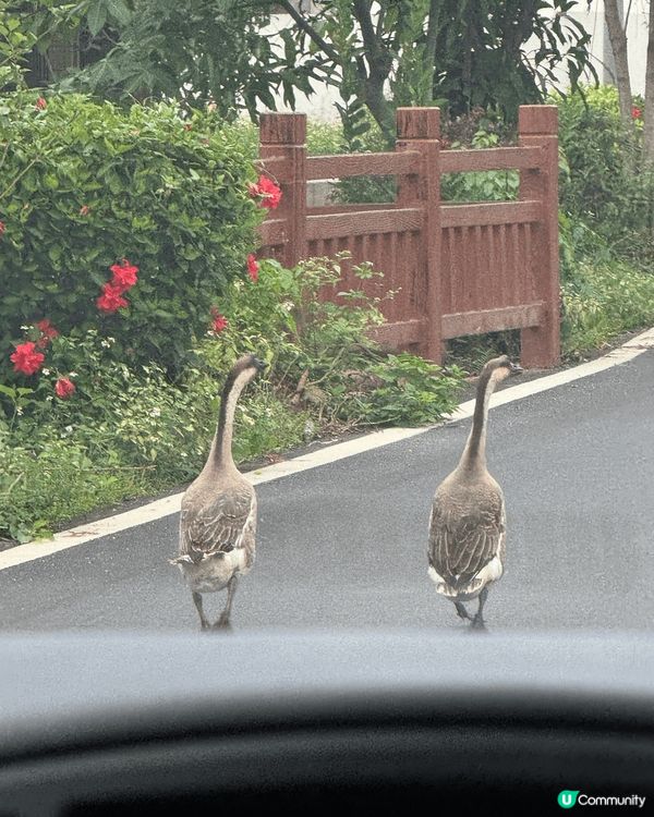 趁星期六日去郊遊