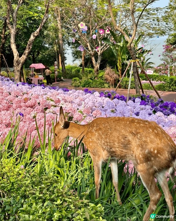 嘩嘩嘩‼️4、5月珠海頂流係呢👉🏻IYOHO PLAZA城市...