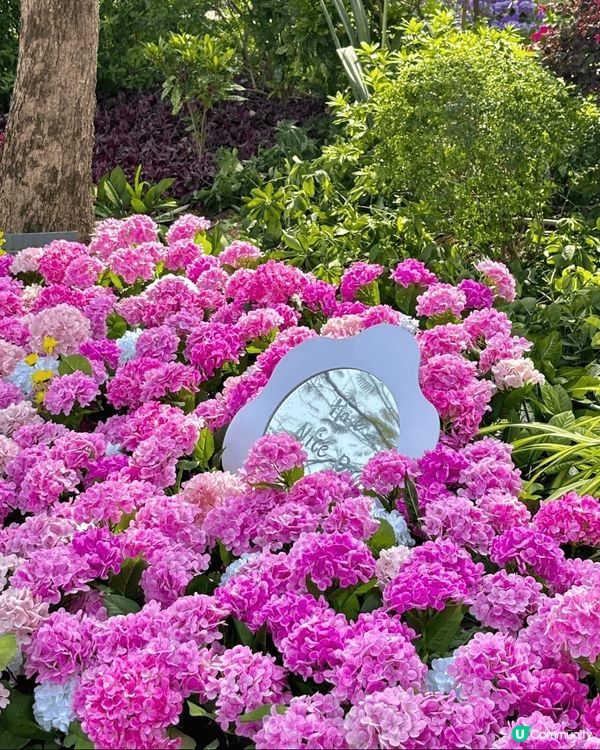 嘩嘩嘩‼️4、5月珠海頂流係呢👉🏻IYOHO PLAZA城市...