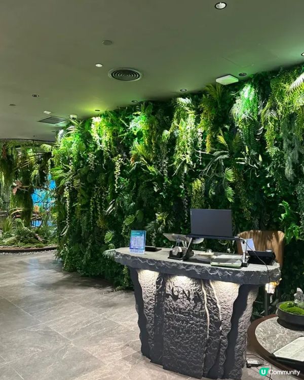 《啟德airside • 靚裝修中菜點心》🫖精緻粵菜點心🫖