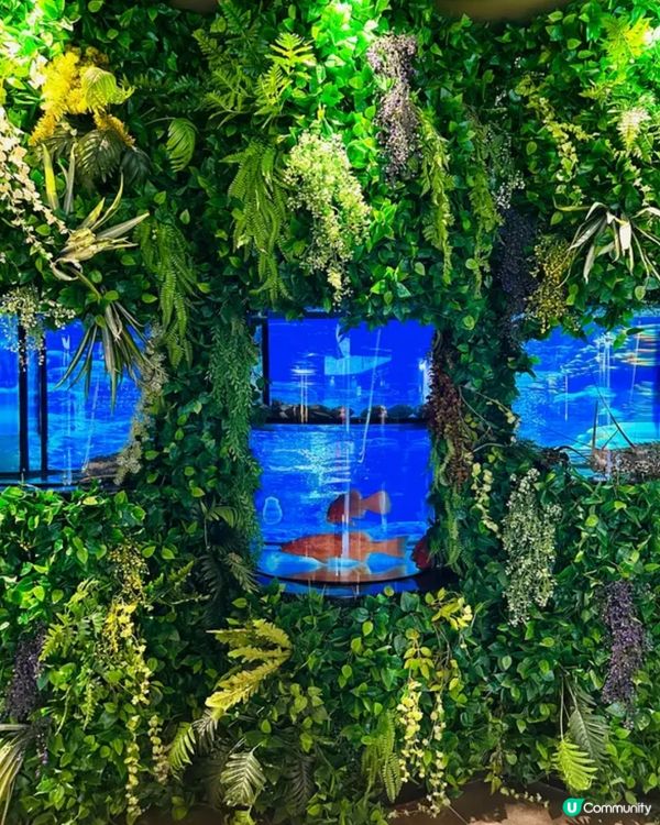 《啟德airside • 靚裝修中菜點心》🫖精緻粵菜點心🫖