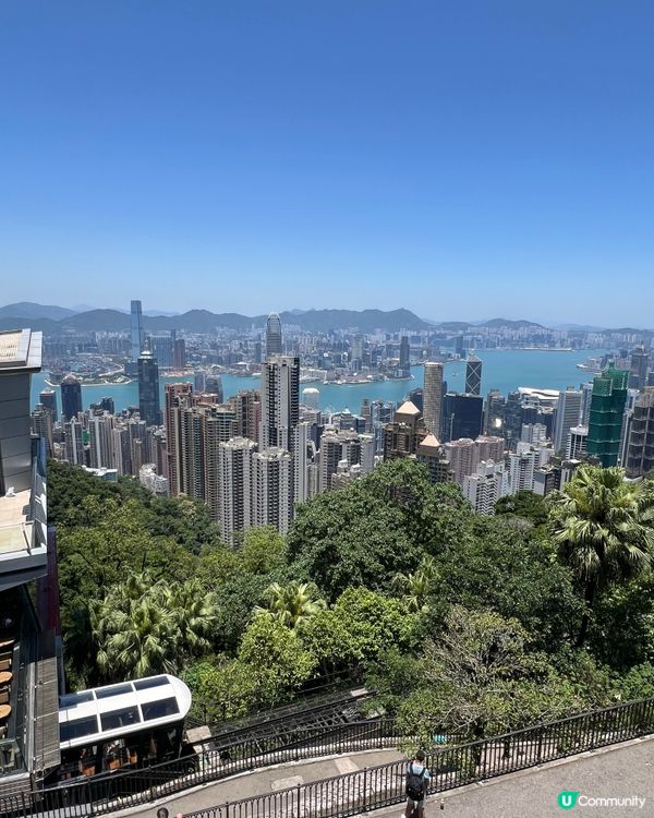 山頂打卡！海鱸魚柳🐟×中環美景超治癒😍🌃