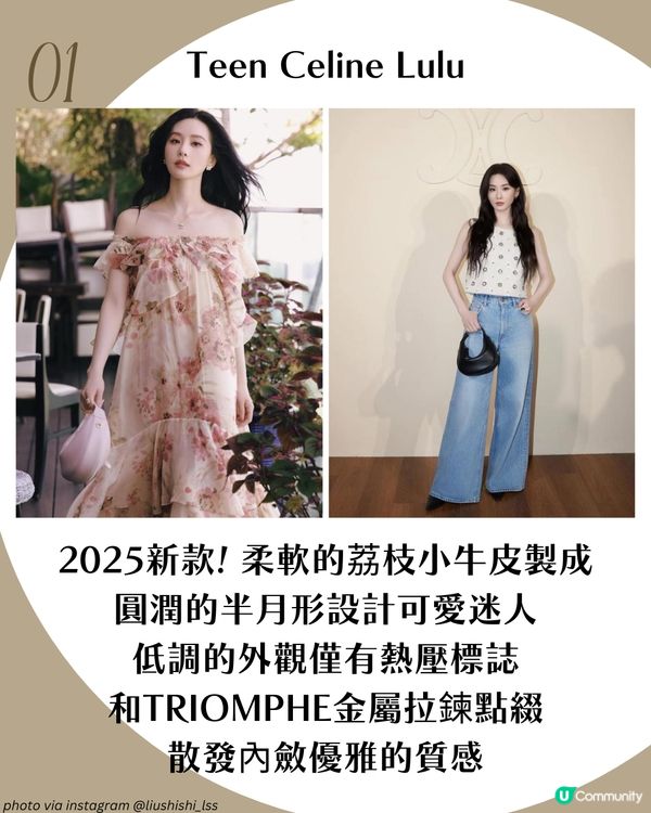 《淮水竹亭》女神劉詩詩6大同款Celine手袋 附價錢