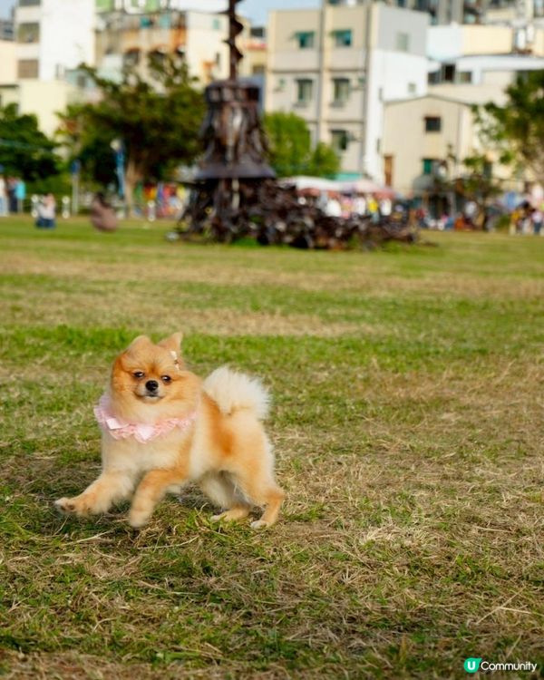 健康要從小地方開始累積～