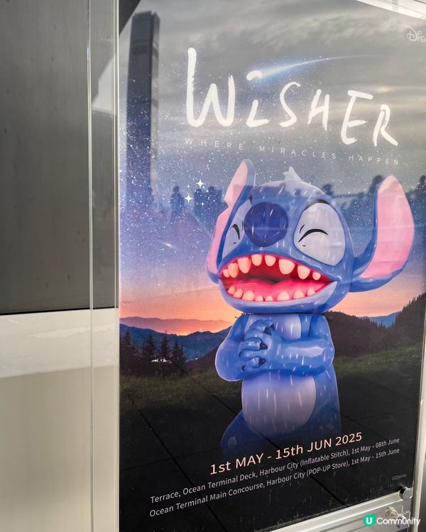 史迪仔現身海港城！🤩