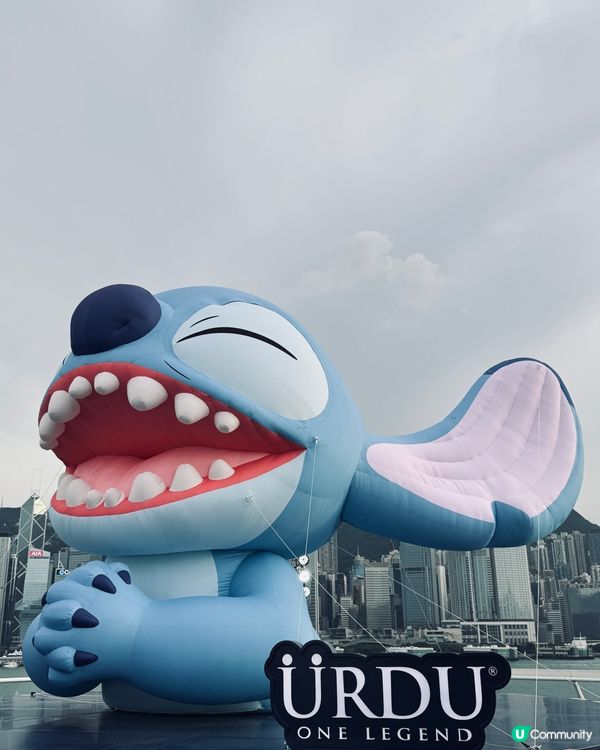 史迪仔現身海港城！🤩