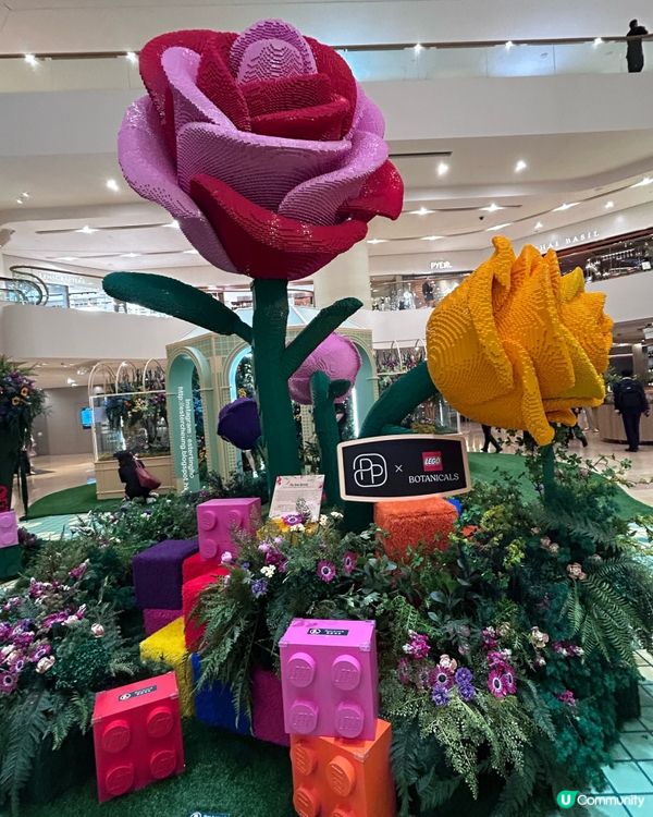 首個樂高植物園 🌷 Where Bricks Bloom