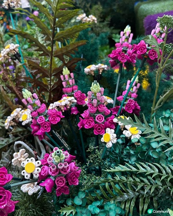 首個樂高植物園 🌷 Where Bricks Bloom