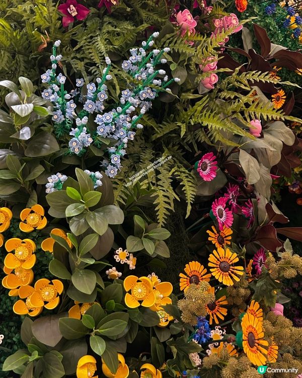 首個樂高植物園 🌷 Where Bricks Bloom