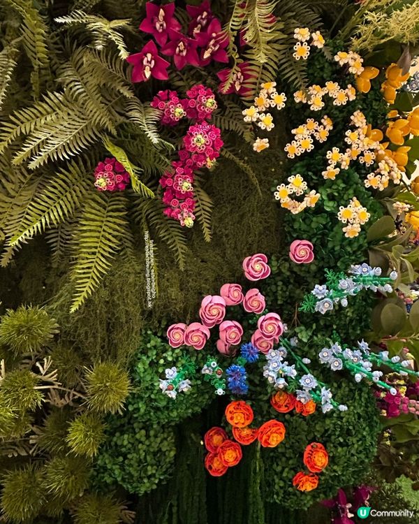 首個樂高植物園 🌷 Where Bricks Bloom