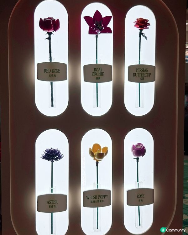 首個樂高植物園 🌷 Where Bricks Bloom