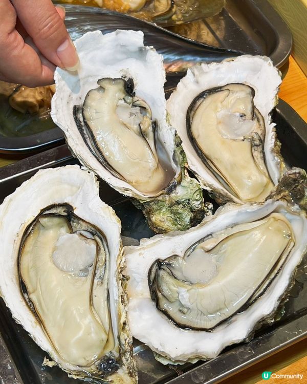 深圳海鮮燒烤🔥李小太 深圳皇庭廣場新店開張🎉