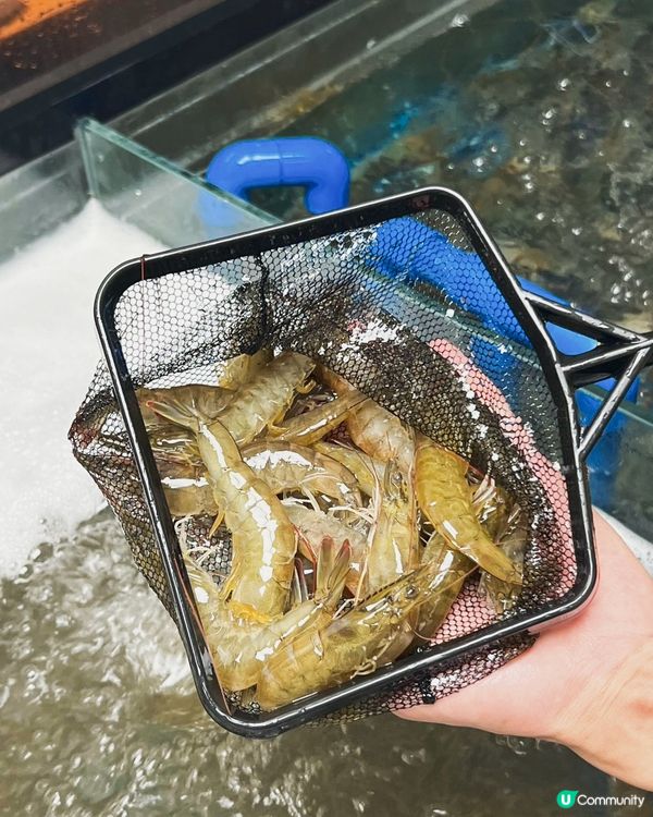 深圳海鮮燒烤🔥李小太 深圳皇庭廣場新店開張🎉