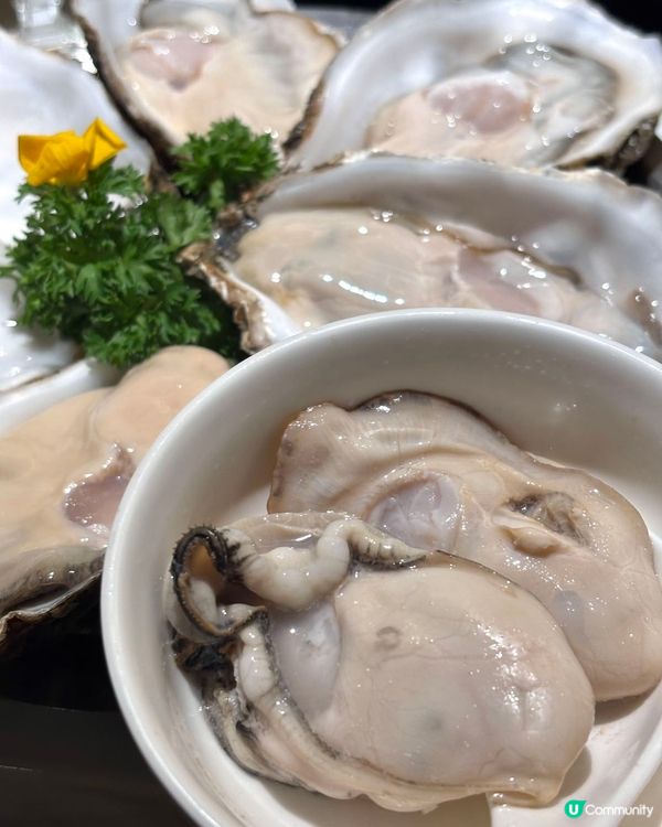 深圳必食豬肚雞🍲 順德公