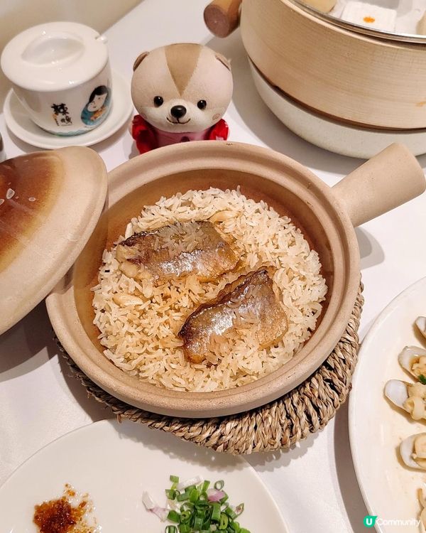 《莆田哆頭蟶回來啦》