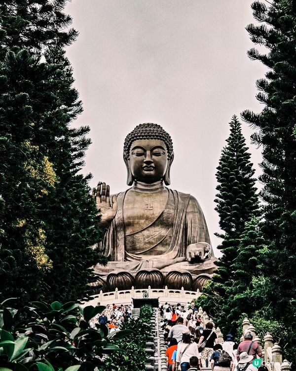 大嶼山天壇大佛朝聖🙏，洗滌心靈！