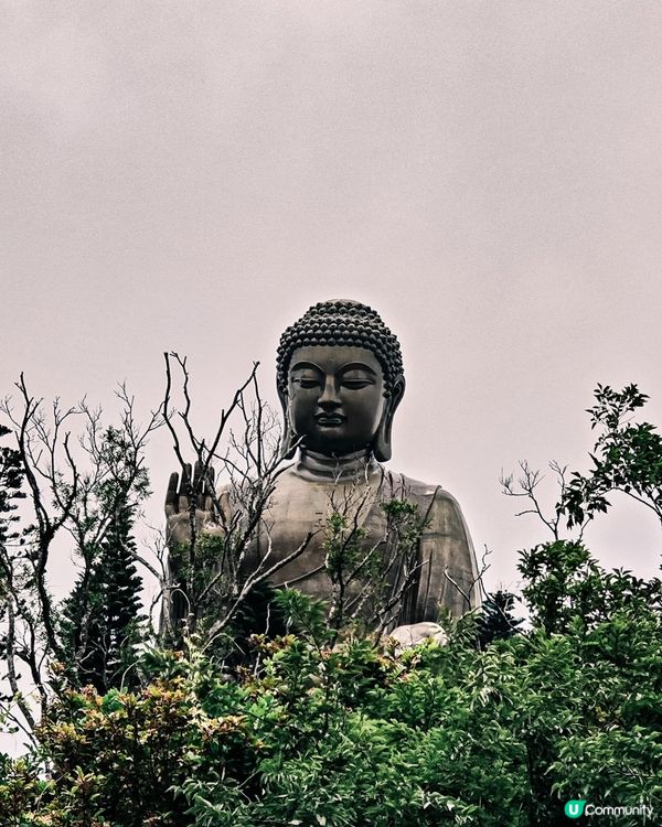 大嶼山天壇大佛朝聖🙏，洗滌心靈！