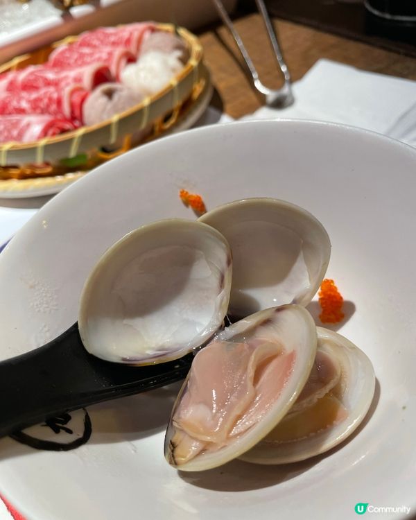 銅鑼灣蒸海鮮 🦞  一人一鍋食到停唔到！