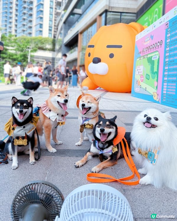 Run With KAKAO FRIENDS HK 2025