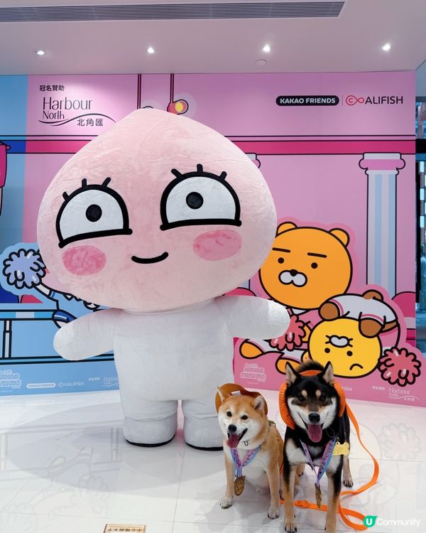 Run With KAKAO FRIENDS HK 2025