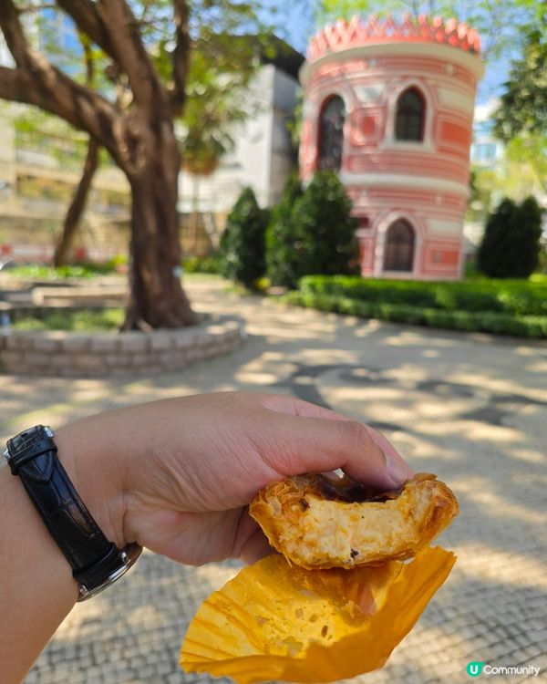 新派精緻高質葡撻