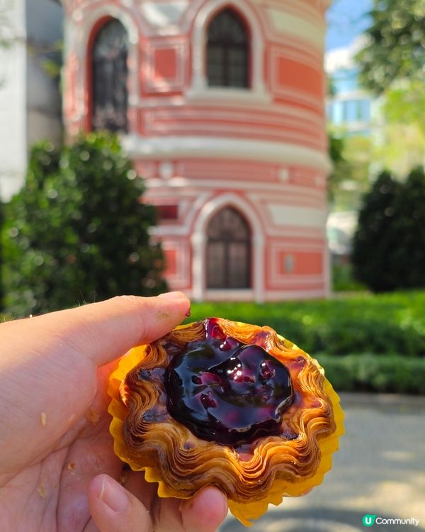 新派精緻高質葡撻