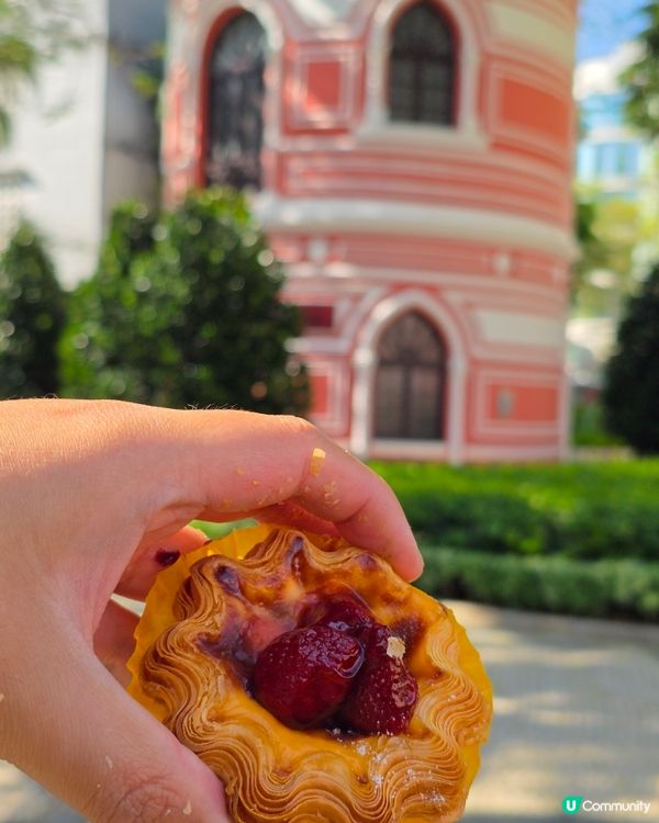 新派精緻高質葡撻