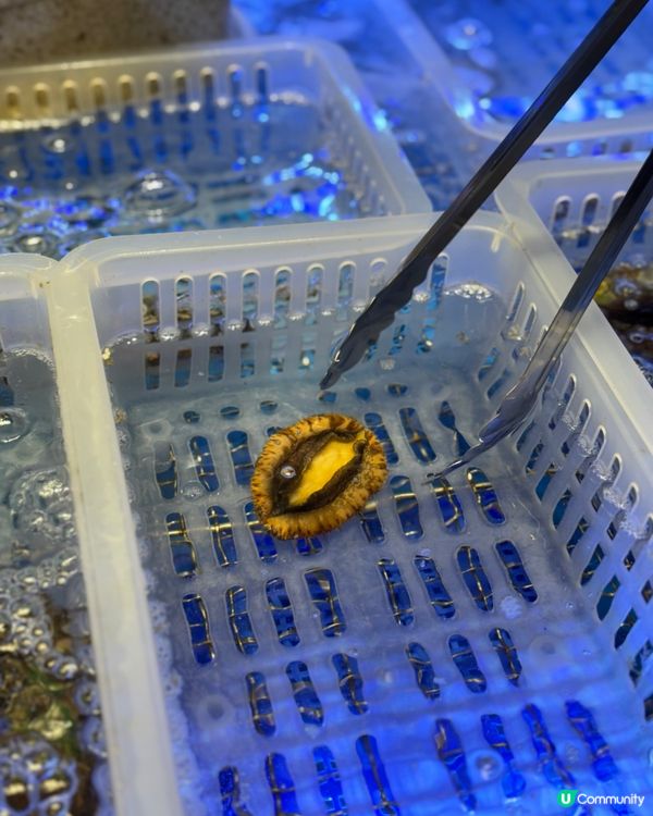 新鮮即撈鮑魚海蝦邊爐放題🍲