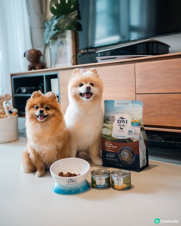 性價比高新糧🐶  ZIWI微蒸風乾，真材實料！🤩