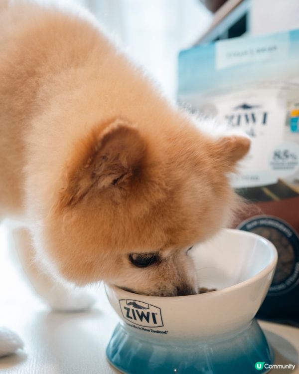 性價比高新糧🐶  ZIWI微蒸風乾，真材實料！🤩