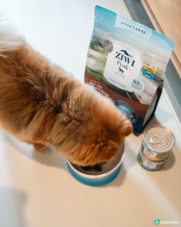 性價比高新糧🐶  ZIWI微蒸風乾，真材實料！🤩