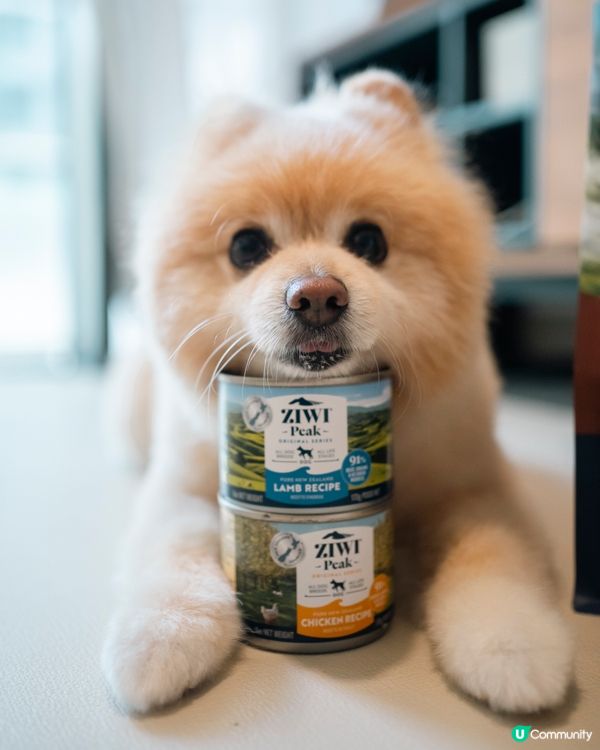 性價比高新糧🐶  ZIWI微蒸風乾，真材實料！🤩