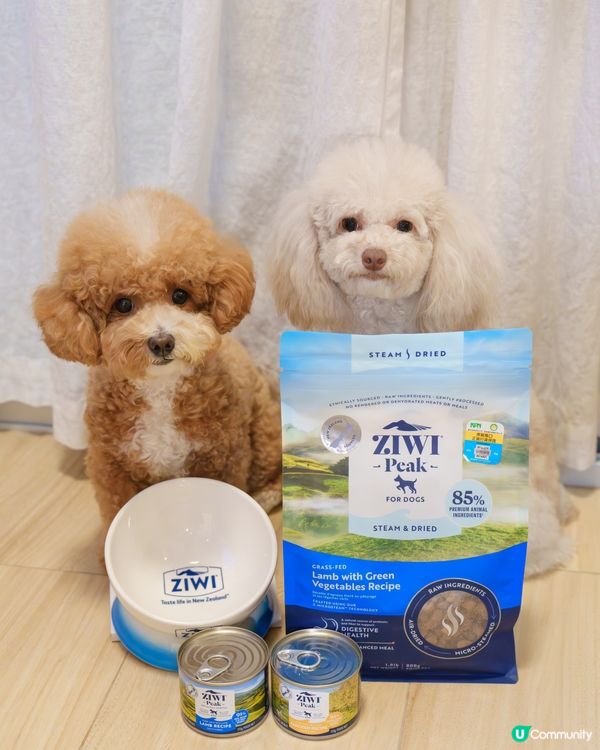 🐶挑食狗都愛上！微蒸風乾糧🤩