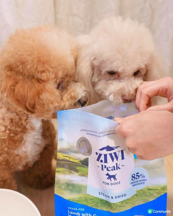 🐶挑食狗都愛上！微蒸風乾糧🤩