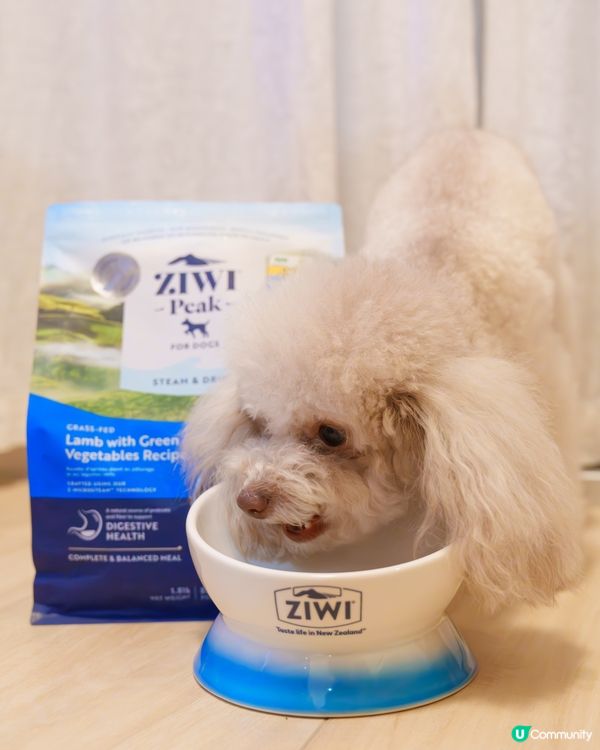 🐶挑食狗都愛上！微蒸風乾糧🤩