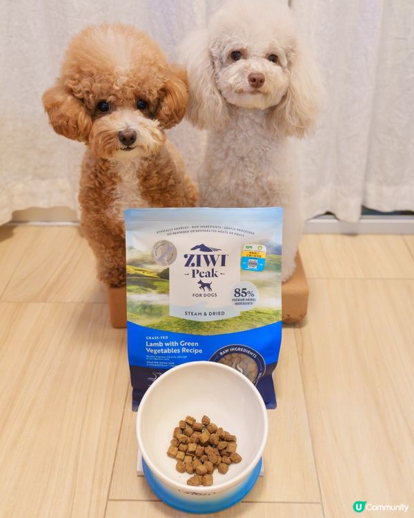 🐶挑食狗都愛上！微蒸風乾糧🤩