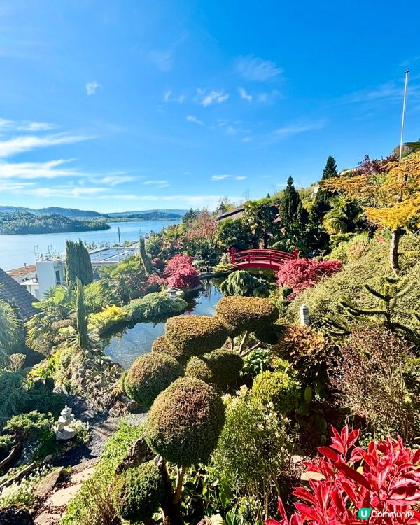 《國籍與身份》 🇭🇰🇨🇭