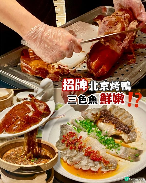 ✨深圳🇨🇳-⚠️💬招牌北京烤鴨竟還未試️⁉️💢竟三色魚都…⁉️📍金鴨季