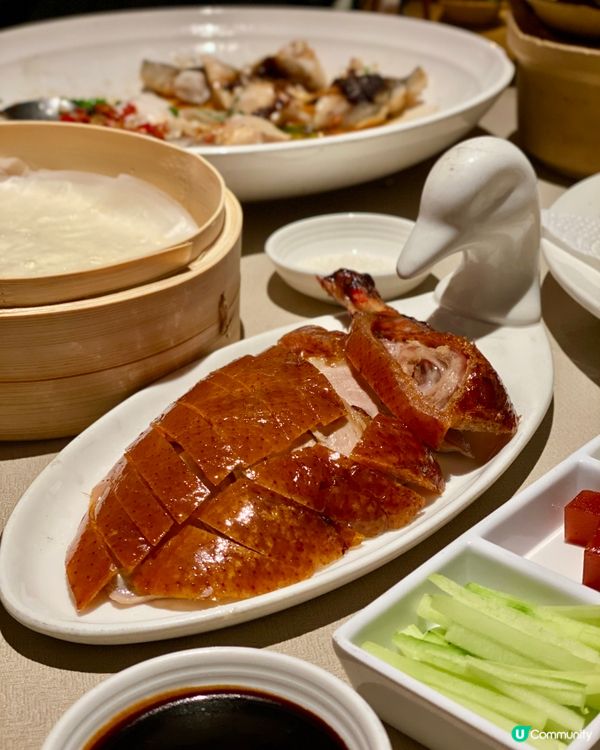 ✨深圳🇨🇳-⚠️💬招牌北京烤鴨竟還未試️⁉️💢竟三色魚都…⁉️📍金鴨季