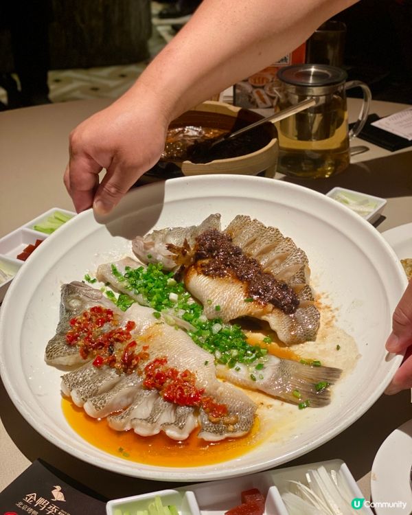 ✨深圳🇨🇳-⚠️💬招牌北京烤鴨竟還未試️⁉️💢竟三色魚都…⁉️📍金鴨季