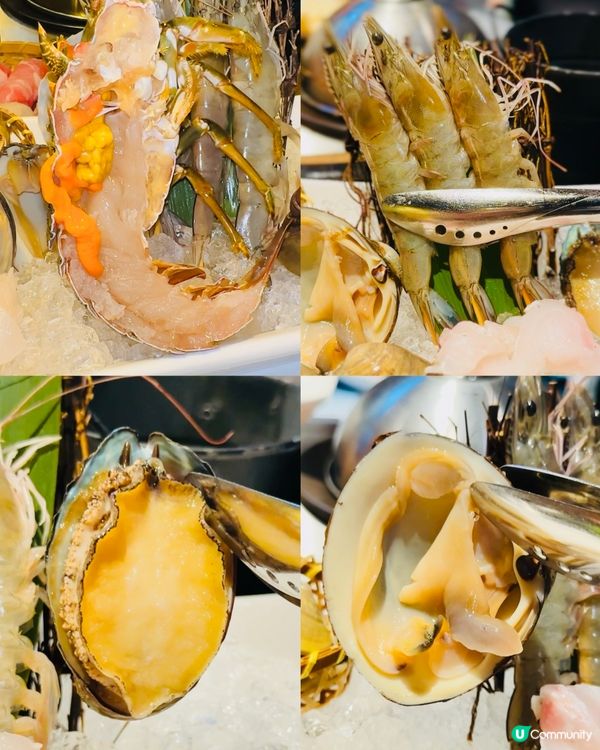 《銅鑼灣 ·鮮甜海鮮蒸氣火鍋 》🦐超高質海鮮蒸氣火鍋🦐