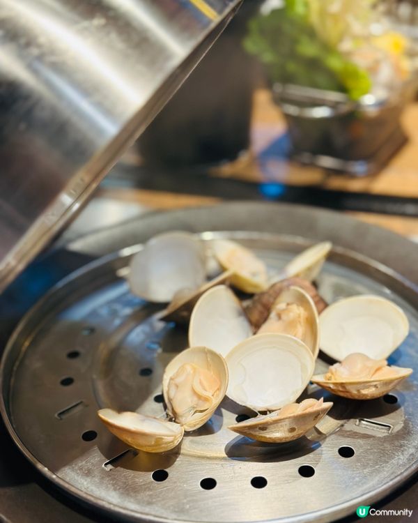 《銅鑼灣 ·鮮甜海鮮蒸氣火鍋 》🦐超高質海鮮蒸氣火鍋🦐