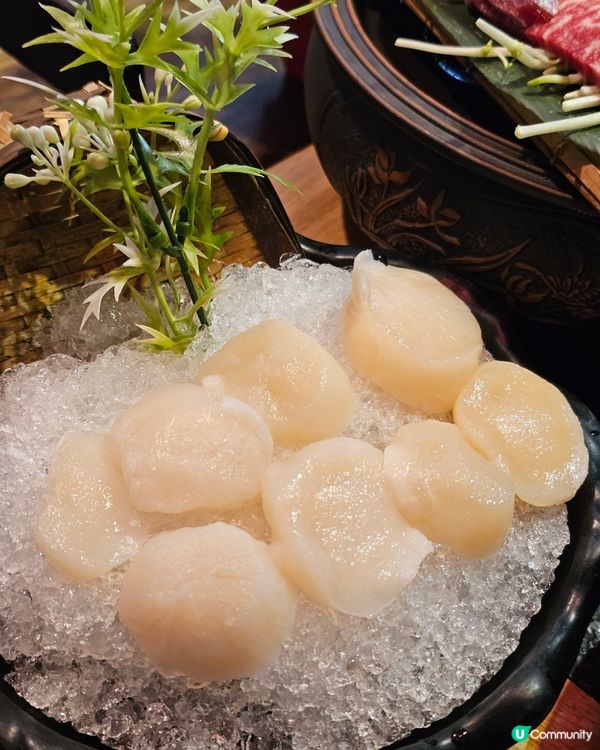 #必會回訪的火鍋店 