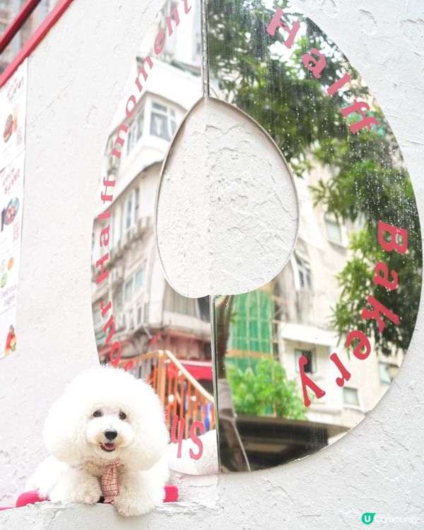 新開搶眼貝果專門店 多款奇特口味選擇