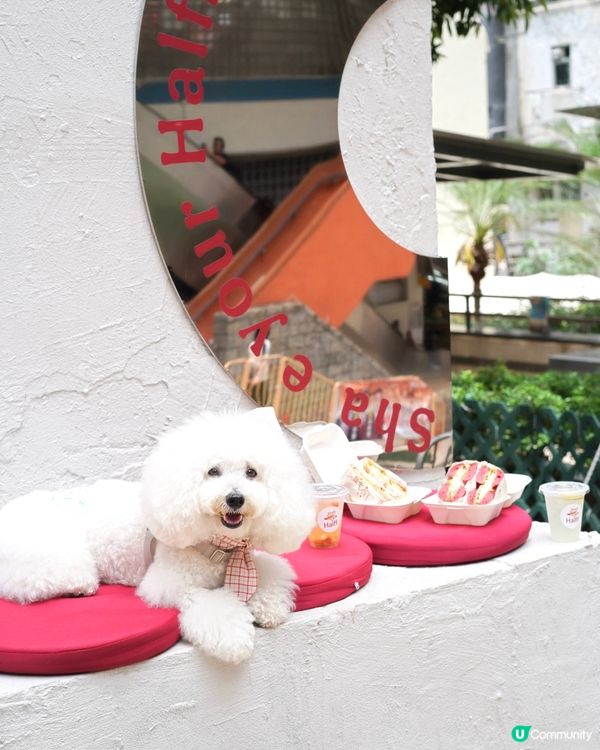 新開搶眼貝果專門店 多款奇特口味選擇