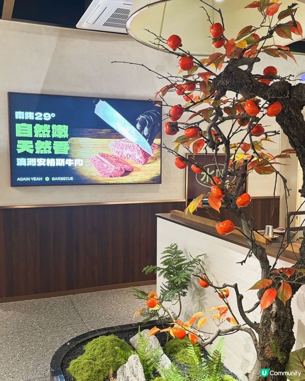 敢野橫膈膜燒肉🔥深圳首間橫膈膜專門店！