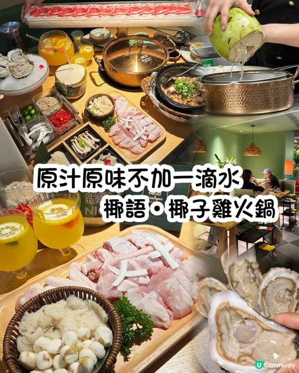 🥥 東門必食！椰語椰子雞🔥 人均100+抵食又好味！